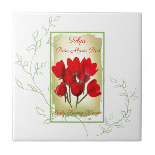 Carreau Aquarelle Rouge Tulipe - Paquet de graines