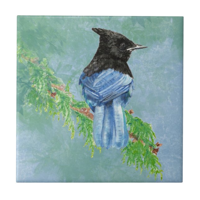 Carreau Aquarelle Stellar Jay Oiseau Art de la faune (Devant)