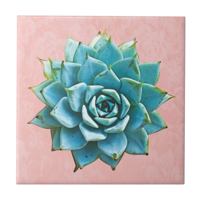 Carreau Aquarelle Succulente sur dentelle rose pâle (Devant)