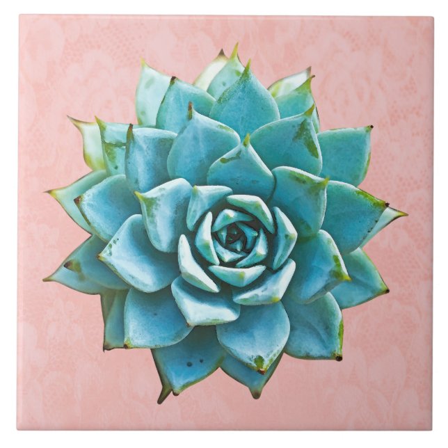 Carreau Aquarelle Succulente sur dentelle rose pâle (Devant)