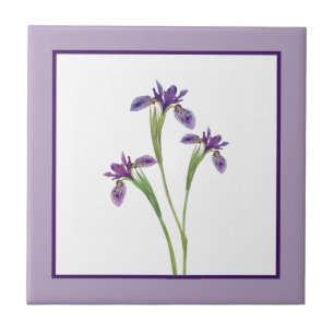 Carreau Aquarelle violette élégante Fleurs d'Iris Botani