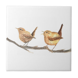 Carreau Aquarelle Wren Bird Wildlife Colorée