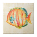 Carreau Aquarium coloré Poisson<br><div class="desc">Aquarium coloré Poisson Artiste : Chariklia Zarris</div>