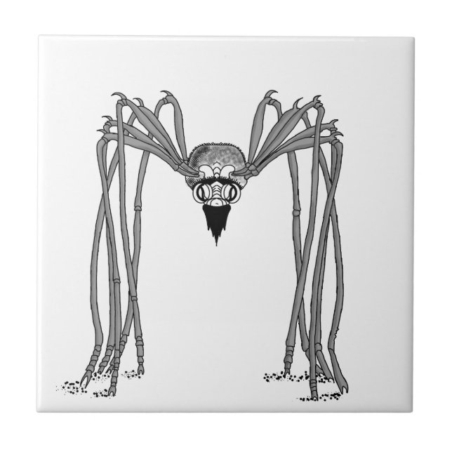 Carreau araignée . noir et blanc (Devant)