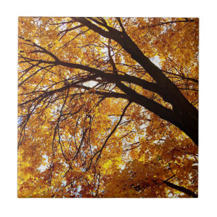 Carreau Arbre d'automne 2