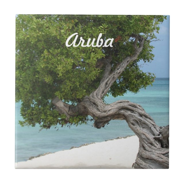 Carreau Arbre de Divi Divi dans Aruba (Devant)