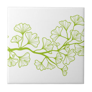 Carreau arbre de ginkgo avec le feuille vert