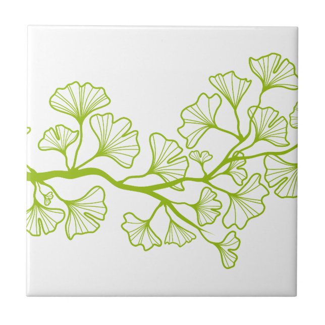 Carreau arbre de ginkgo avec le feuille vert (Devant)