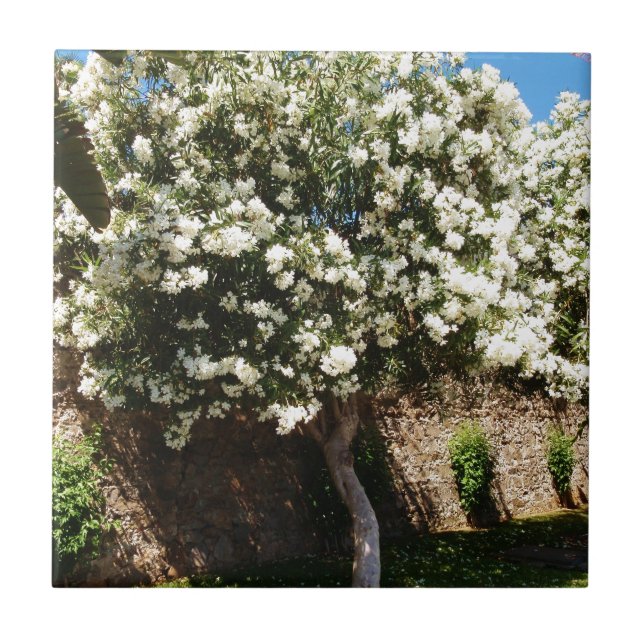 Carreau Arbre de jasmin (Devant)