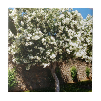 Carreau Arbre de jasmin en fleur
