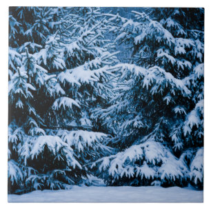 Carreau Arbre de Noël de la forêt d'hiver