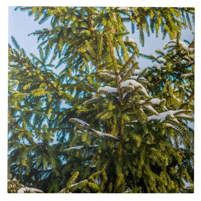 Carreau Arbre De Noël Vert En Neige (Devant)