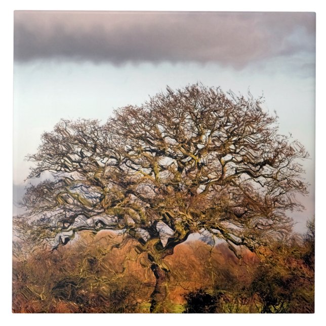 CARREAU ARBRE D'HIVER (Devant)