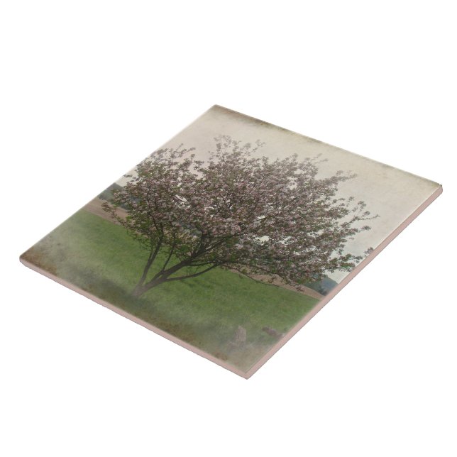 Carreau Arbre pomme en fleurs (Côté)