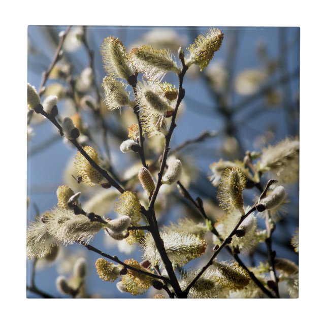 CARREAU ARBRE SAUVAGE (Devant)