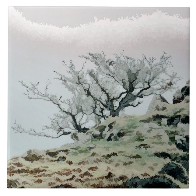 CARREAU ARBRES (Devant)