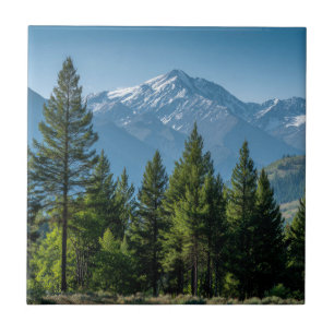 Carreau Arbres Conifères avec Arrière-plan Montagneux