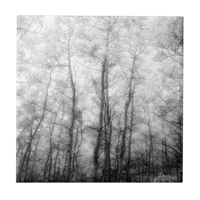Carreau Arbres d'Aspen - Noir et blanc (Devant)
