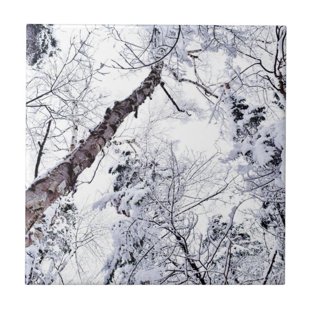 Carreau Arbres de forêt enneigés en hiver 1 (Devant)