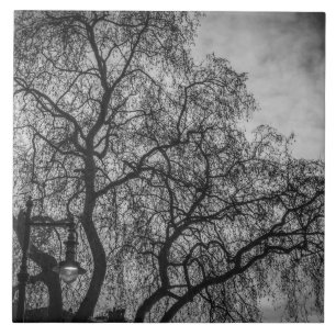 Carreau Arbres en céramique noire et blanche