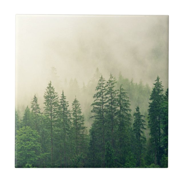 Carreau Arbres hivernaux de forêt brumeuse (Devant)