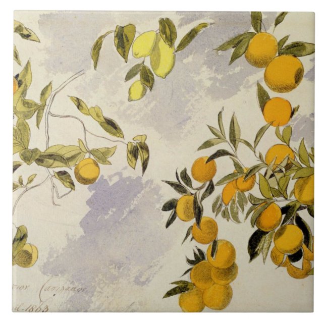 Carreau Arbres oranges, 1863 (la semaine, graphite fini à (Devant)