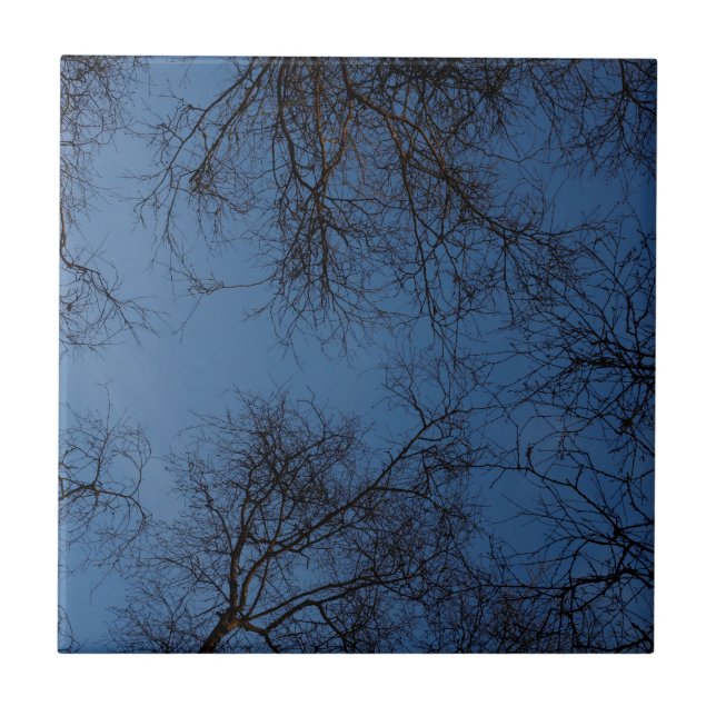 Carreau Arbres silhouettés foncés (Devant)