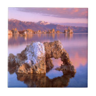 Carreau Arc de tufière du lac Mono