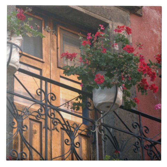 Carreau Architecture dans les rues de San Miguel de (Devant)