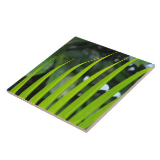 Carreau Areca Palm Frond
