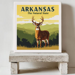 Carreau Arkansas vintage