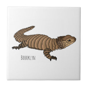 Carreau Armadillo girdled lizard cartoon illustration 