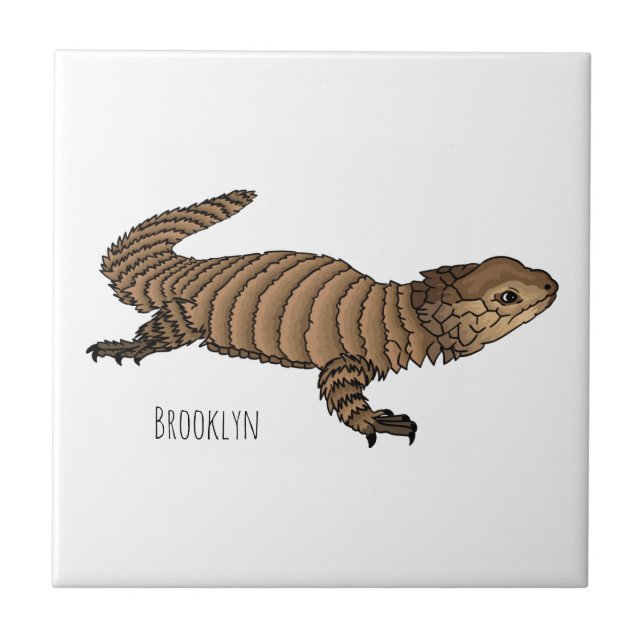 Carreau Armadillo girdled lizard cartoon illustration  (Devant)