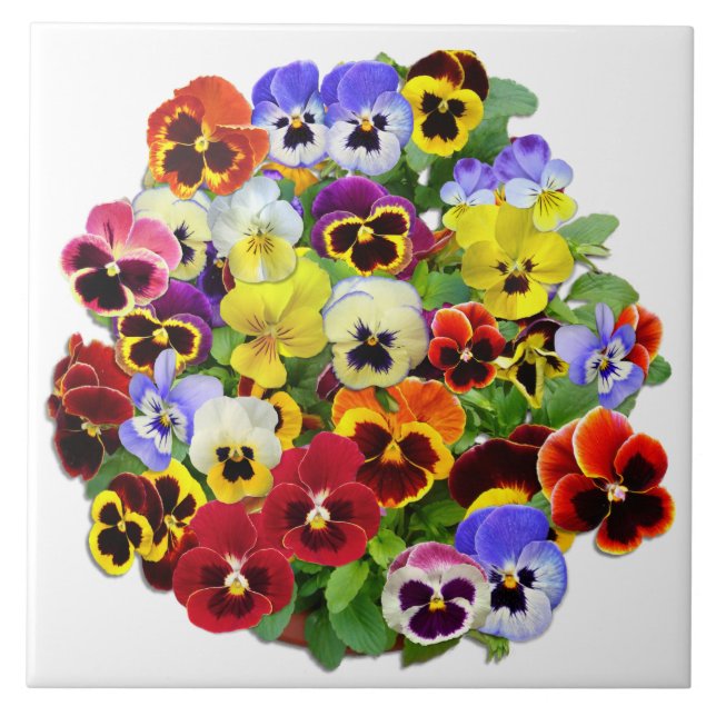 Carreau Arrangement de Pansy (Devant)