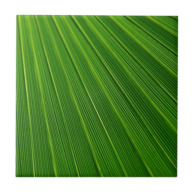 Carreau Arrière - plan Abstrait vert (Devant)