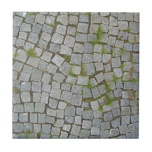 Carreau Arrière - plan de texture de route de pavé rond (Devant)