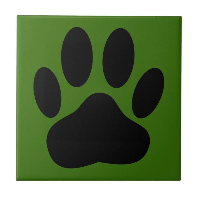 Carreau Arrière - plan écolo de la prothèse de chien (Devant)