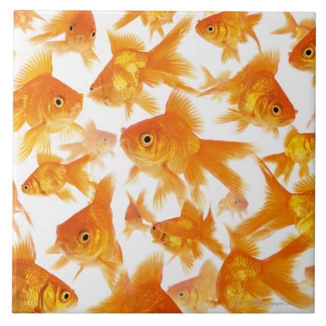 Carreau Arrière - plan montrant un grand groupe du poisson (Devant)