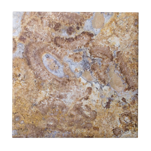 Carreau Arrière - plan motif en marbre (Devant)