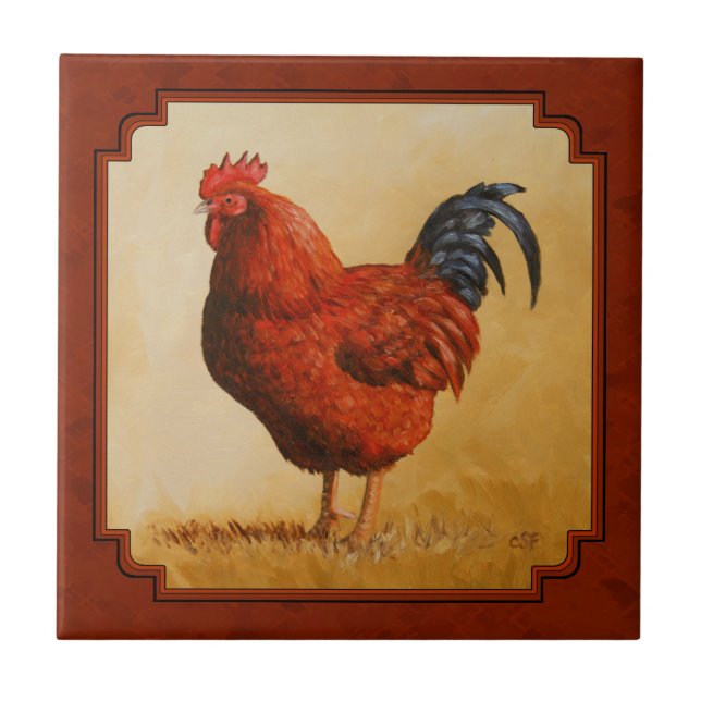 Carreau Arrière - plan rouge poulet de Rhode Island (Devant)