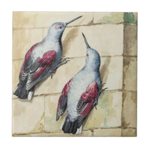Carreau Art à l'aquarelle d'oiseau vintage rouge et gris