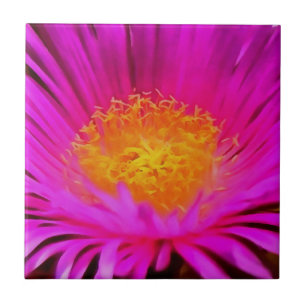 Carreau Art Artistique Magenta Rose Aster Flower Floral Ar