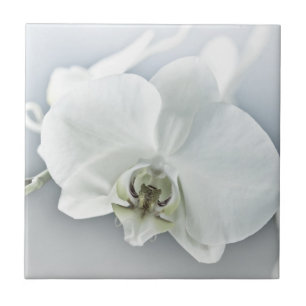 Carreau Art botanique de l'orchidée blanche élégante