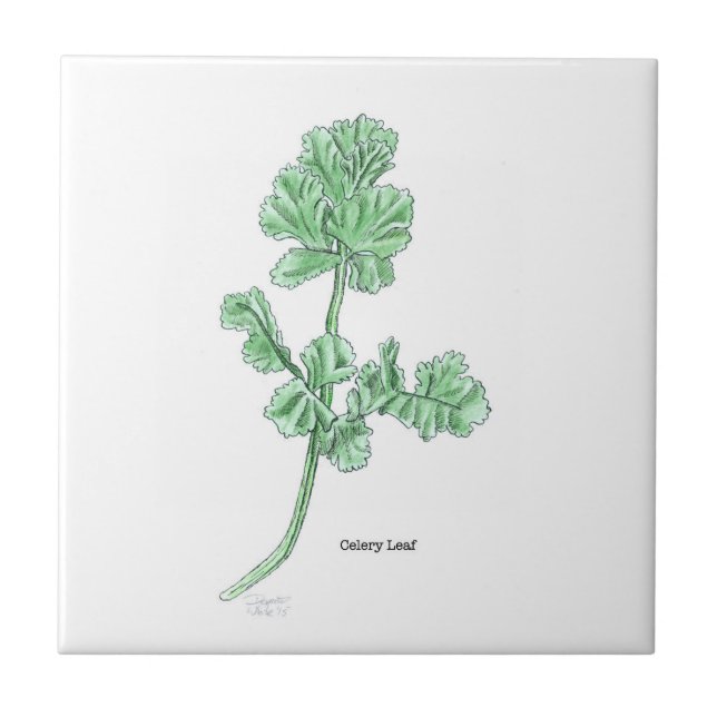 Carreau Art Celery Leaf (Devant)