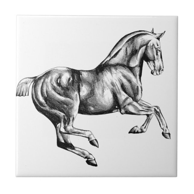 Carreau Art de croquis de dessin de cheval fait main (Devant)
