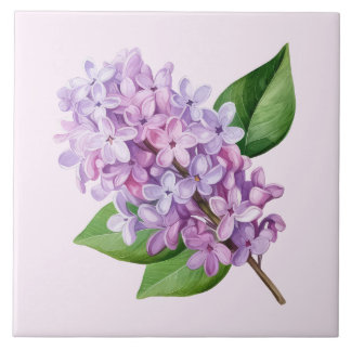 Carreau Art de fleur de lilas sur fond rose