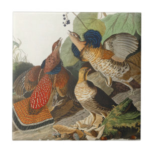 Carreau Art de la nature de l'oiseau Tétras du Canada Audu