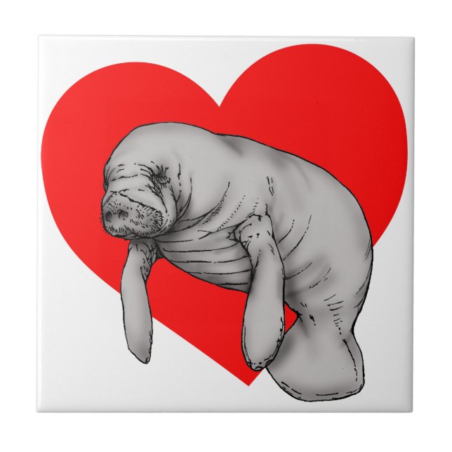 Carreau art de lamantin (Devant)