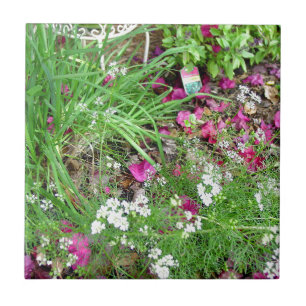 Carreau Art de photographie de ciboulette de collection