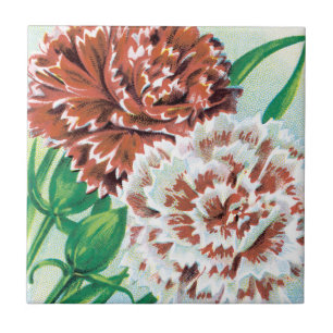 Carreau Art de pochette de graines vintage, fleurs d'œille